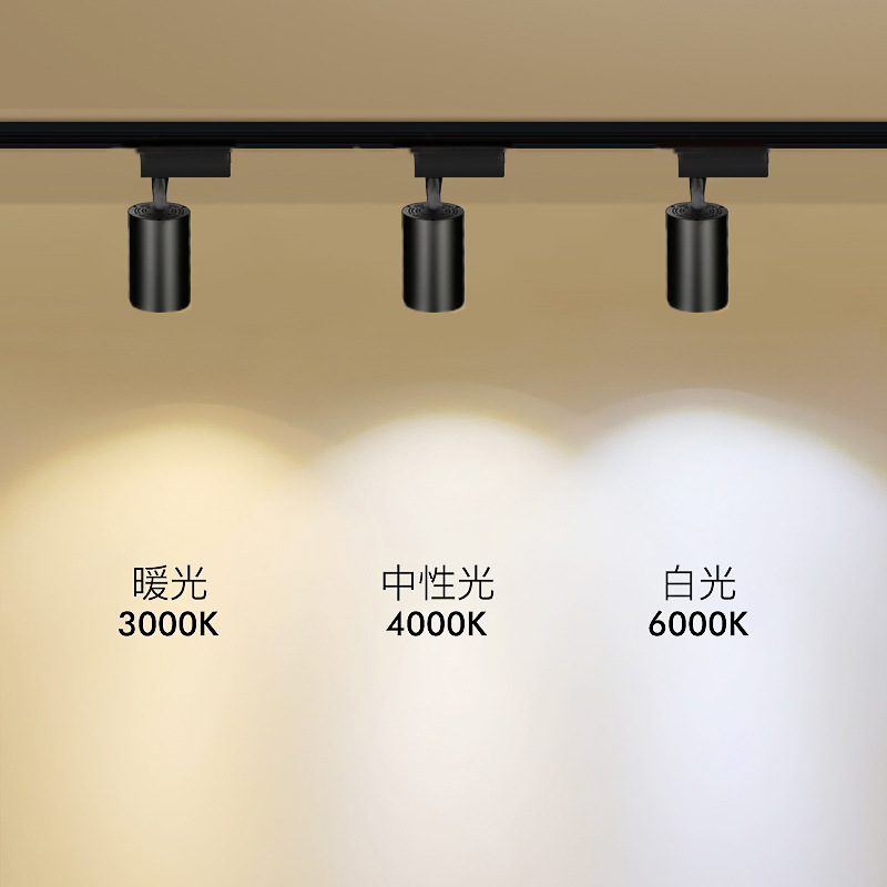 Track Spotlight COB Slide Track Light Guide Rail 20W30W Clothing Store Milk Tea Store Exhibition Hall LED Track Light