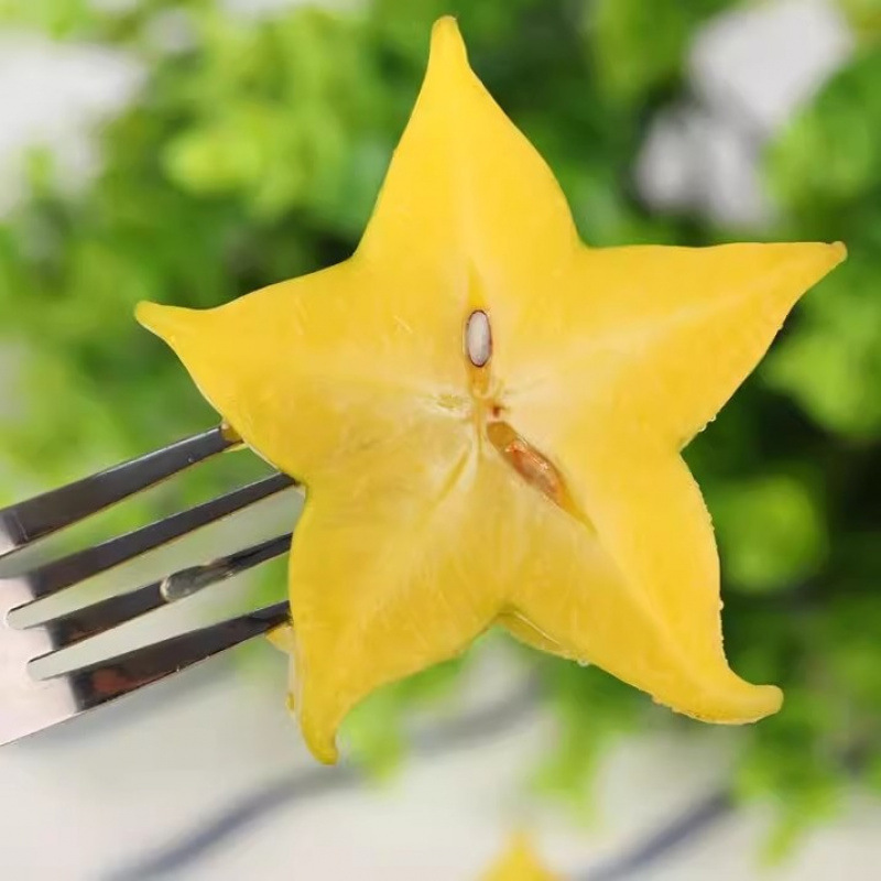 Dried Star Fruit from Zhangzhou, Fujian, Fresh Seasonal Red Dragon Star Fruit with Free Shipping