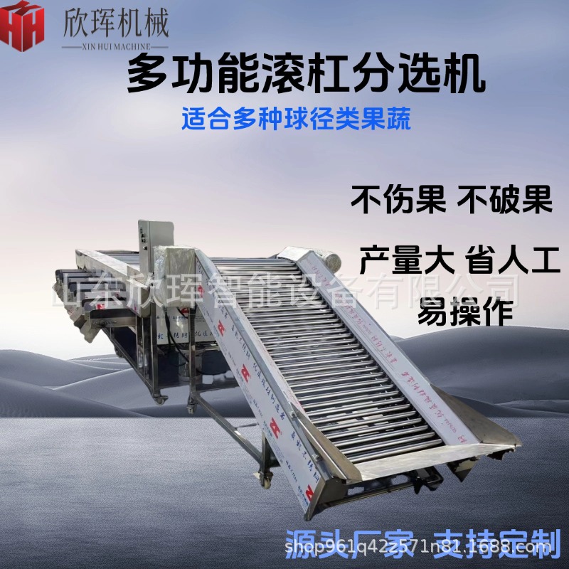 Commercial Apricot Grader, Fruit and Vegetable Sorting Machine, Large Stainless Steel Fully Automatic Roller Sorting Machine Equipment