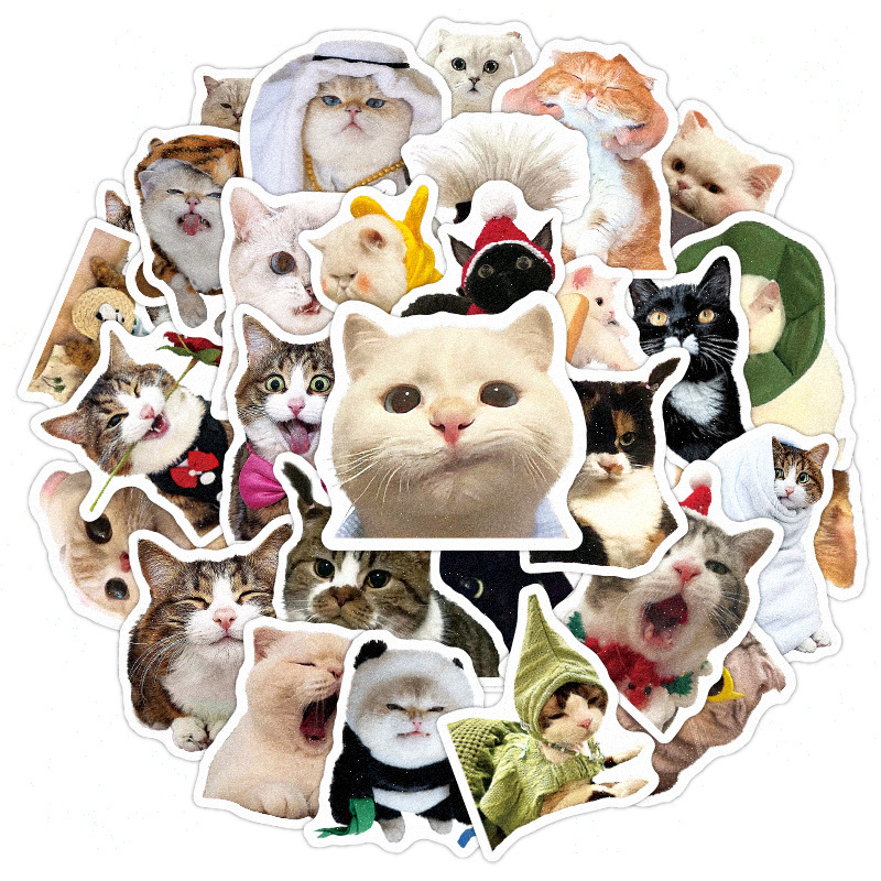 60 cross-border cartoon cat graffiti stickers diy luggage cup notebook self-adhesive waterproof hand account stickers