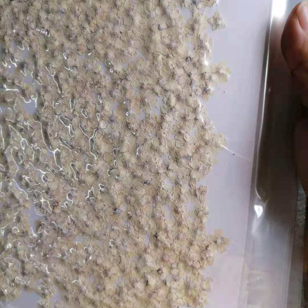 Tree Flower Five-Star Flower Japanese Style Manicure Dried Flower DIY Sticker Face Makeup Petal Makeup Five-Petal Flower Embossed Flower Factory Direct Sale