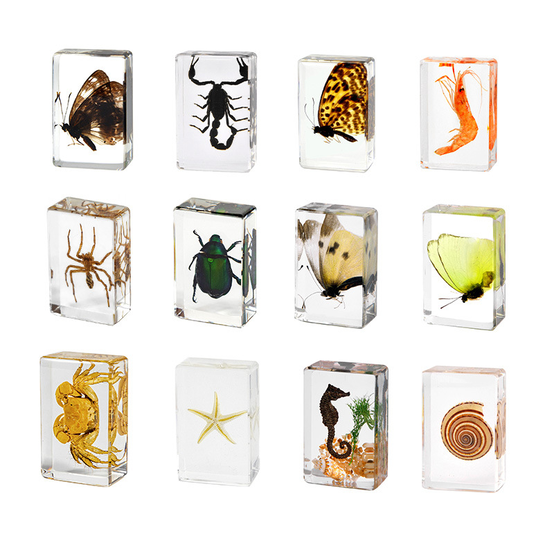 Cross-Border Hot-Selling Wholesale Insect Amber Specimens Resin Crafts Children's Educational Toys Cultural and Creative Gifts Collectible Ornaments