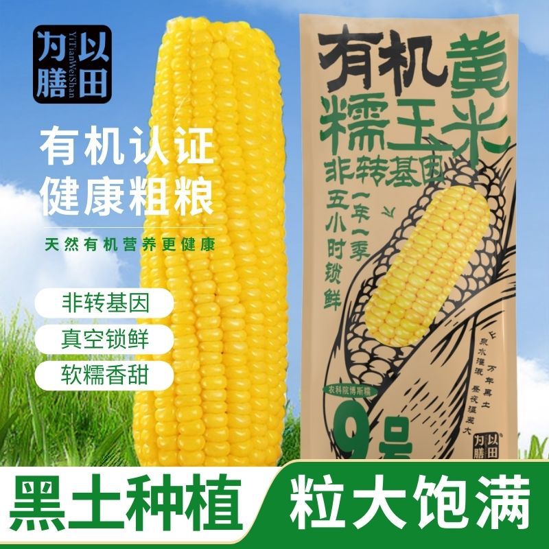 Yellow Corn, Black Corn, Organic Corn, Fruit Corn, Northeastern Waxy Corn, Fresh Corn, Sweet Corn, Ready-To-Eat Corn