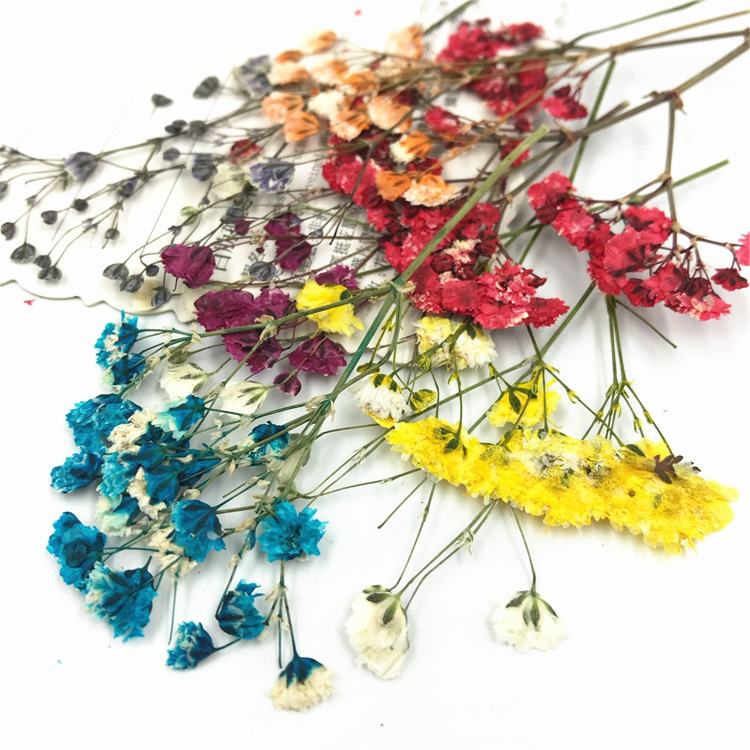 Гипсофила Сухоцвет Вытесненный Растительный Экземпляр Настоящий Цветок Клей для Мобильного Телефона Закладка Лампа Столик Наклейка Декор Лица