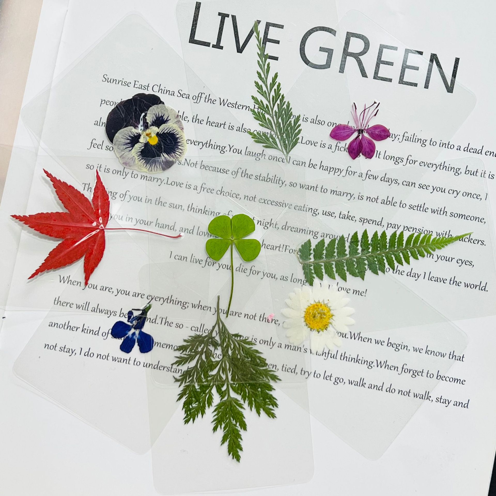 Образец листа растения, пластиковая карточка, наклейка с настоящим листом, детский сад, изучение листьев, высушенные цветы, закладка с жилками листа