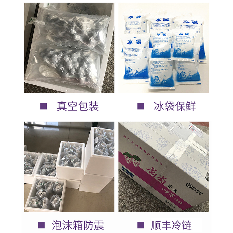 Kyoho Grapes, Pujiang Grapes, Fresh Seasonal Fruits for Pregnant Women, 2.5kg Whole Bunches, Whole Box of Seeded Grapes, Sf Cold Chain