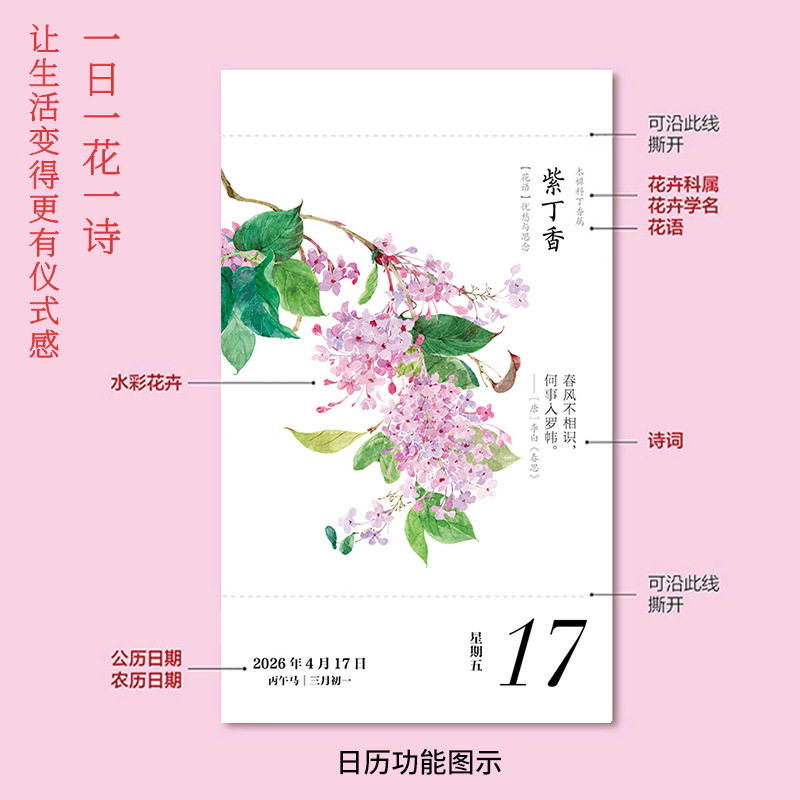 [2026 New Style] Flowers Bloom Sometimes Year of the Horse Calendar Tear-Off Calendar Desk Calendar Watercolor Flower Girl Gift Picture Book