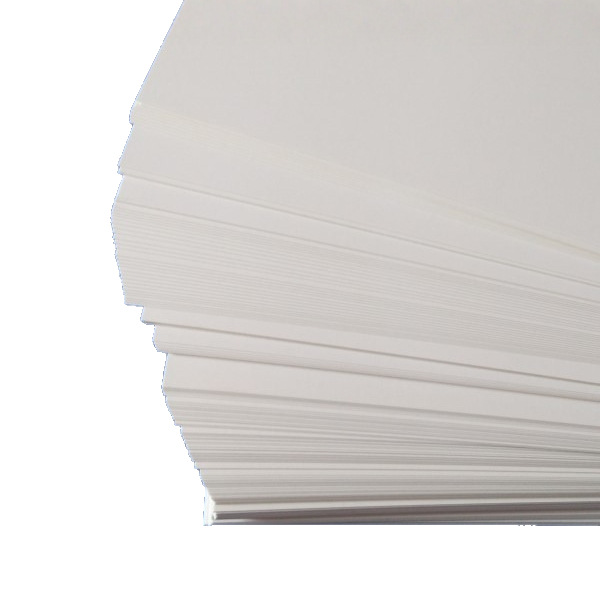 Urged LeAf Specimen TAble PAper/plAnt Specimen PAper (A4) 297*210mm