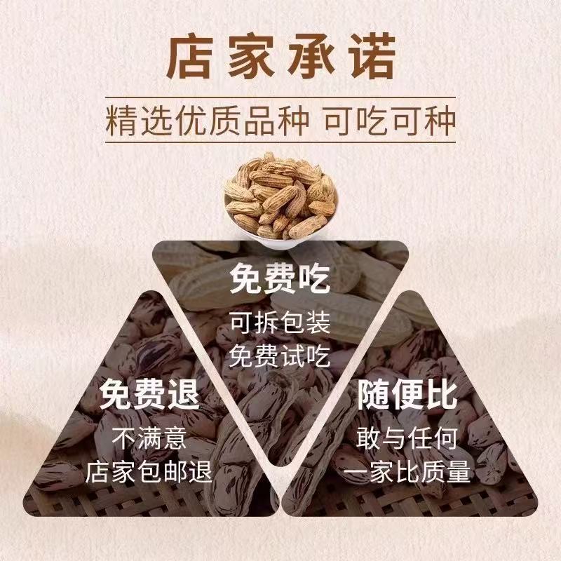 Yunnan Sun Dried Original Flavor Shell Raw and Ripe Color Milk Peanut Colorful Peanut Nut Snacks Dried Special Product