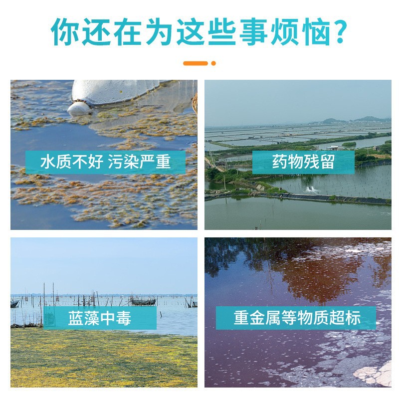 Bishui'An Purification of Cultured Fish, Shrimps and Crabs Organic Acid Aquaculture Degrades Nitrite Fruit Acid Regulates Ammonia Nitrogen
