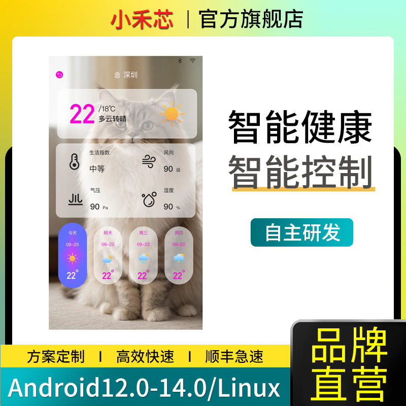 Smart Magic Mirror App Development Smart Fitness Mirror Software Design Smart Health Management Software Application Development