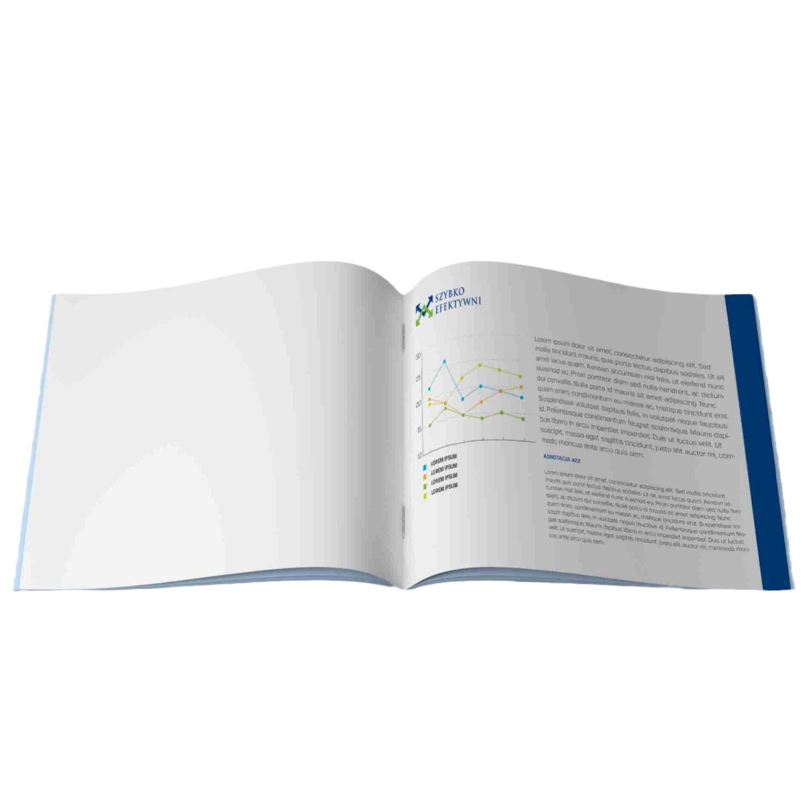 Product Instruction Printing Factory Company Album Envelope Product Catalog Making Triple Folding Booklet Printing