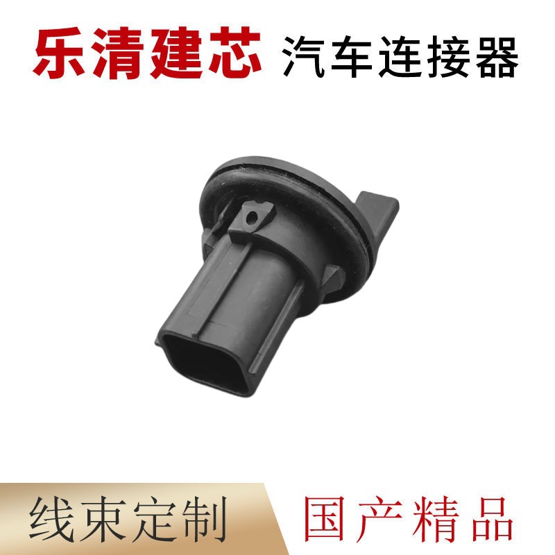 Domestic Dj7065Yc-0.6-11/21 Automotive Wiring Harness Connector Plug Connector 7289-9553-30