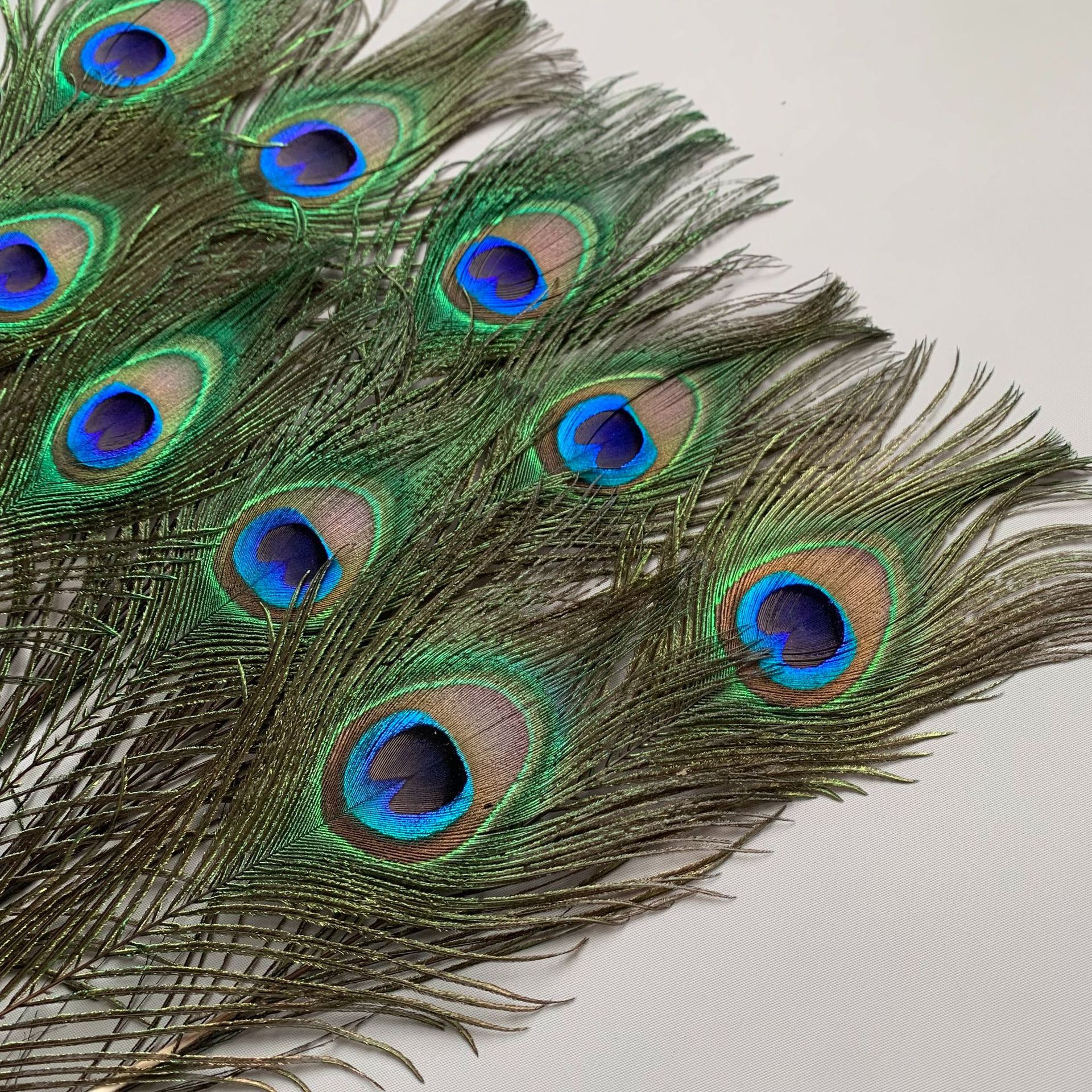 Cross border high quality natural peacock feather 25-120cm home decoration long feather vase flower arrangement decoration peacock feather