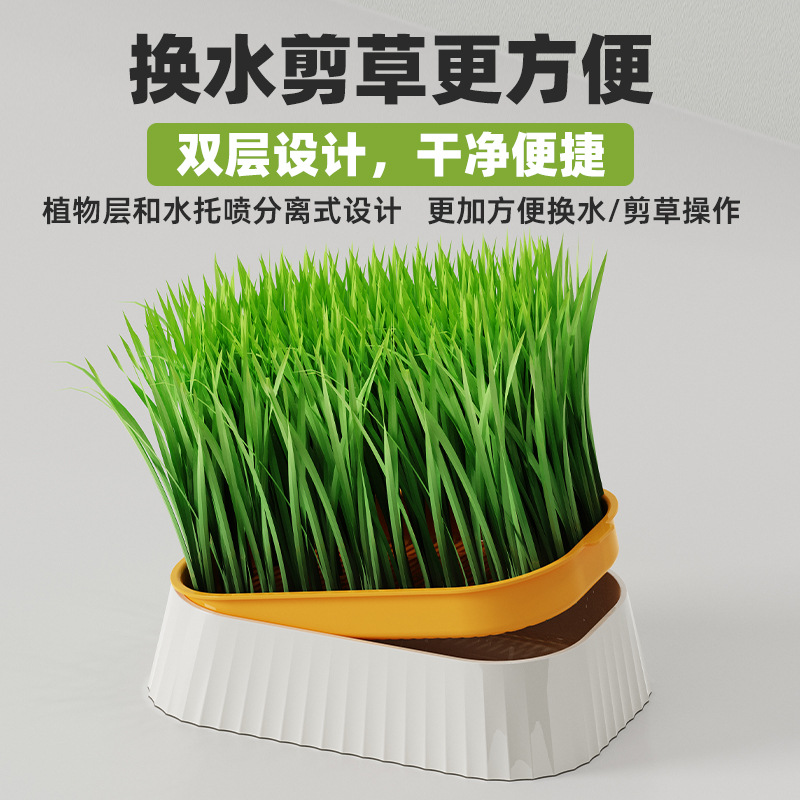 Cat Grass Potted Cat Grass Wheat Seeds Dog Grass Hydroponic Box Soilless Hydroponic Cat Hair Ball Pet Dog Snacks