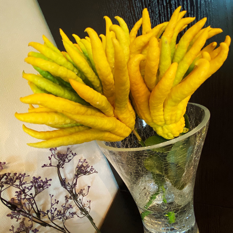 Jinhua Buddha's Hand Extra Large Fruit Medium Large Fruit Premium Buddha's Hand Fruit Mandarin Fresh Citron Qing Gong Decoration for Buddha Decoration Free Shipping