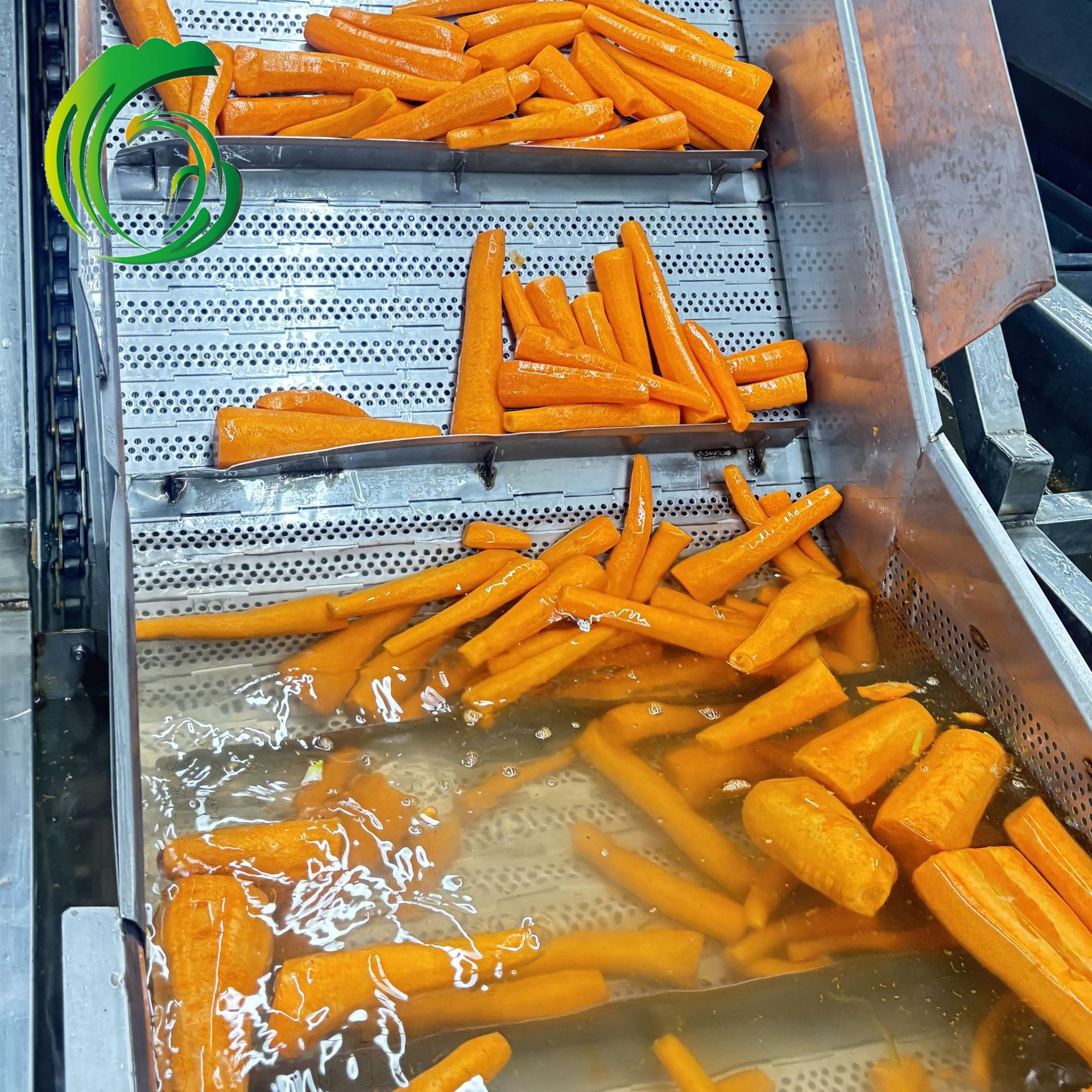 Blanching Diced Carrots 10mm Factory Direct Supply from Shandong Origin Export Brc Fda