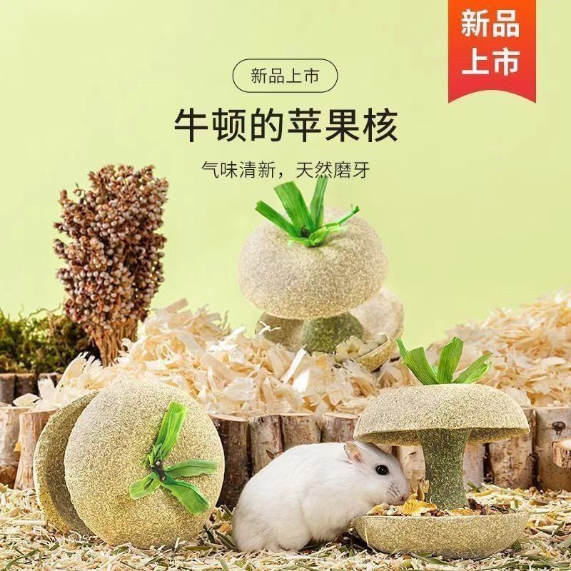 Палочка для грызунов с яблочным сердцевиной Золотого Медведя, корм для хомяков, закуски, износостойкие игрушки для укрытия и ландшафта