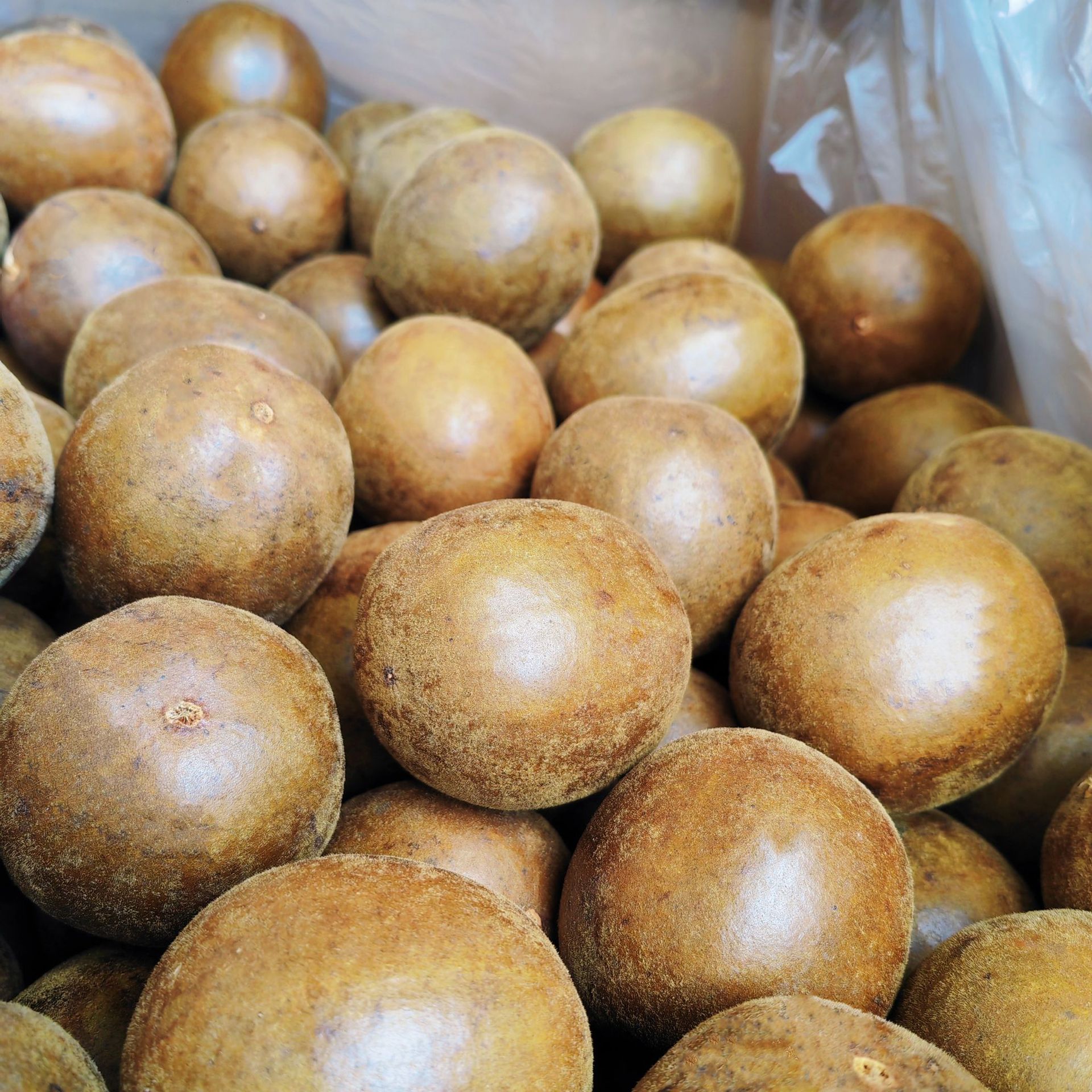 Guangxi Specialty Luo Han Guo Chinese Medicinal Materials Genuine Wholesale Whole Box Flower and Fruit Tea