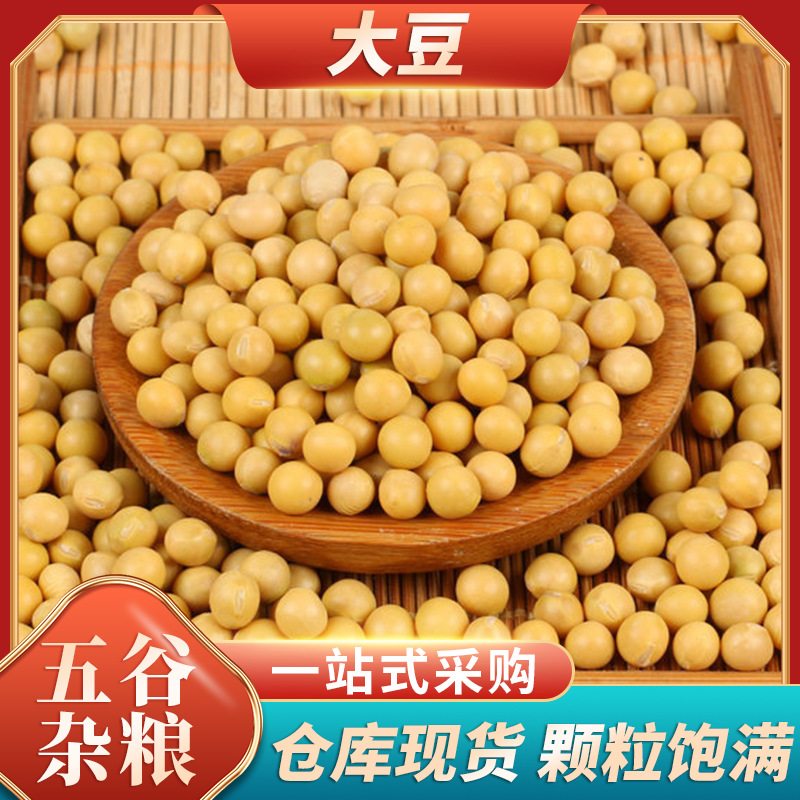 оптовая продажа соевых бобов, не ГМО, в наличии