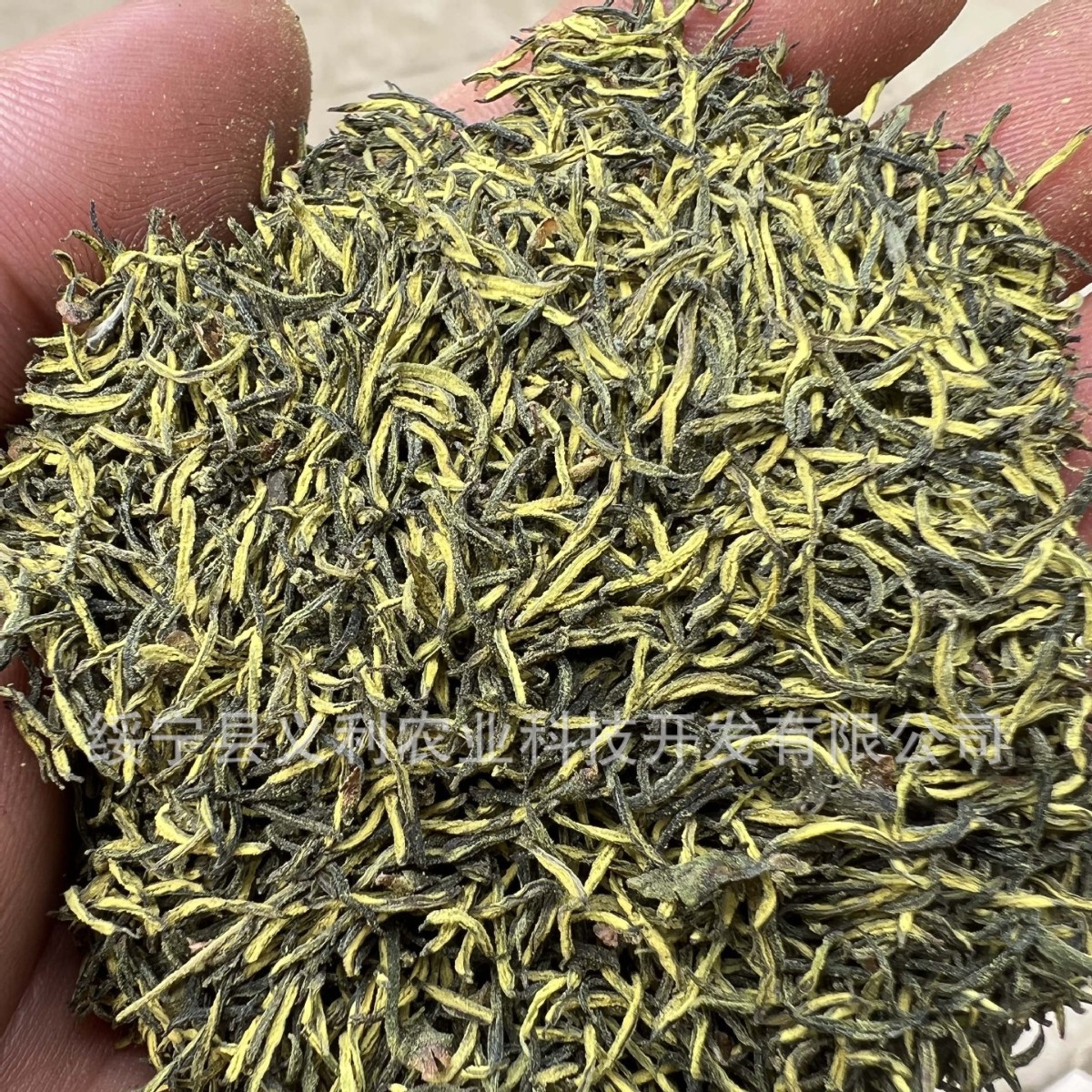 Новый чай 2025 года, мужские цветы евкомии, оптовая продажа, крупная партия 500г, премиальный натуральный пыльца, чай с многозолотыми цветами