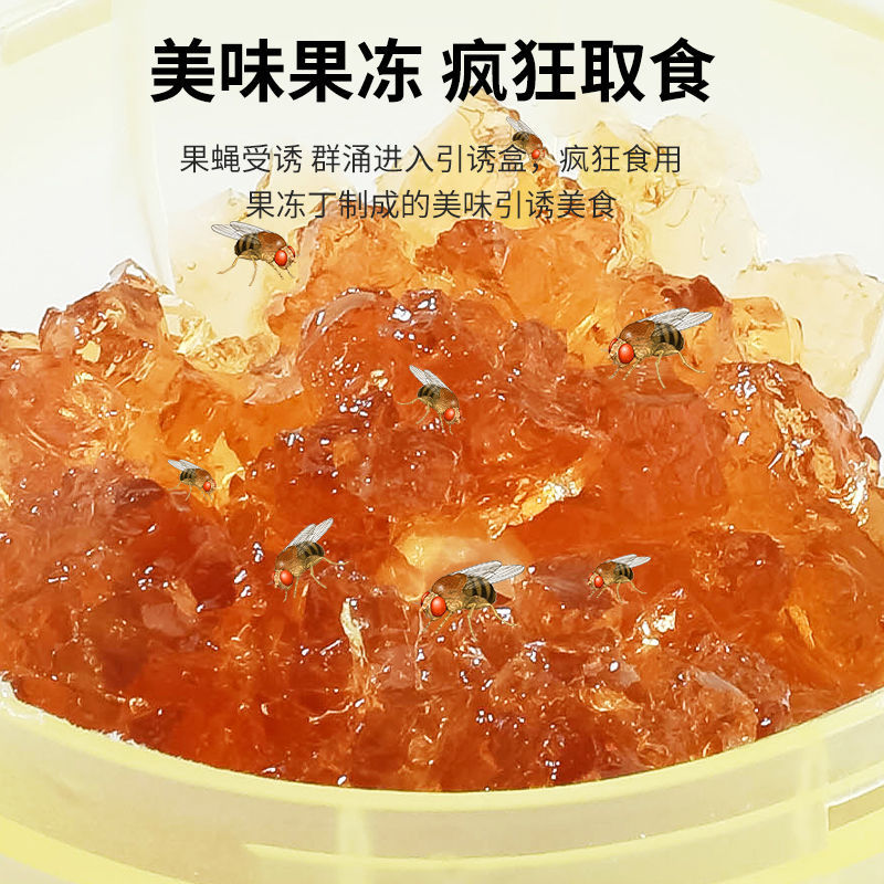 Japanese Fly-Killing Bait, Powerful Fly Medicine to Catch Small Flying Insects, Kitchen Indoor Fruit Fly Removal, Household Mosquito Killing Artifact