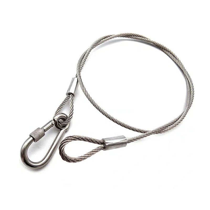 304 Stainless Steel Wire Rope with Colored Rubber Coating, Wire Loop with Aluminum Sleeve Terminal, Wire Rope Sling, Hanging Rope, Wire Loop