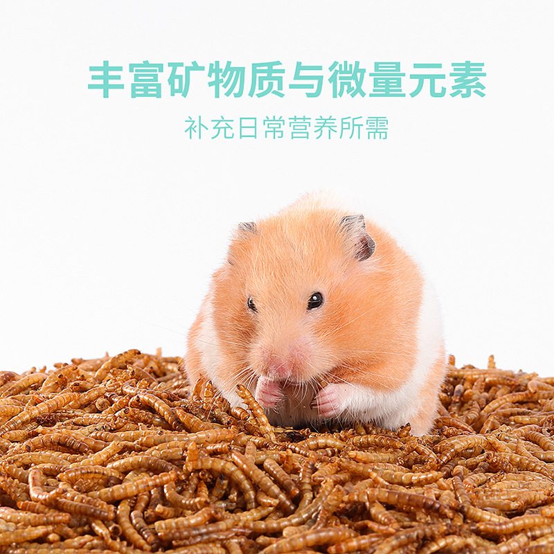Hamster Mealworm Starling Mealworm Koi Snack Mealworm Dried Finch Parrot Cockatiel Budgerigar Bird Food Feed
