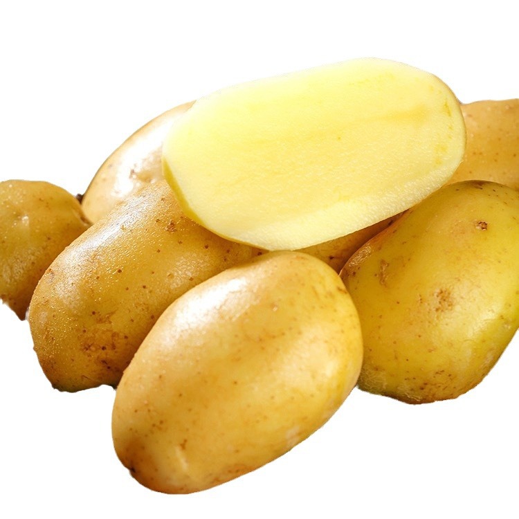 Yellow-Skinned, Yellow-Hearted Potatoes, Whole Box 5/ 5kg Soft, Glutinous and Sweet Potatoes, Freshly Dug Farm Vegetables, Freshly Dug