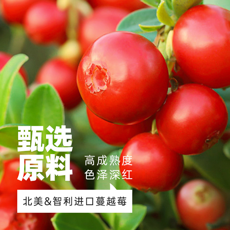 Zhanyi Dried Cranberries 100g Snowflake Cake Bread Manyue Mei Cookies Baking Ingredients Candied Fruits