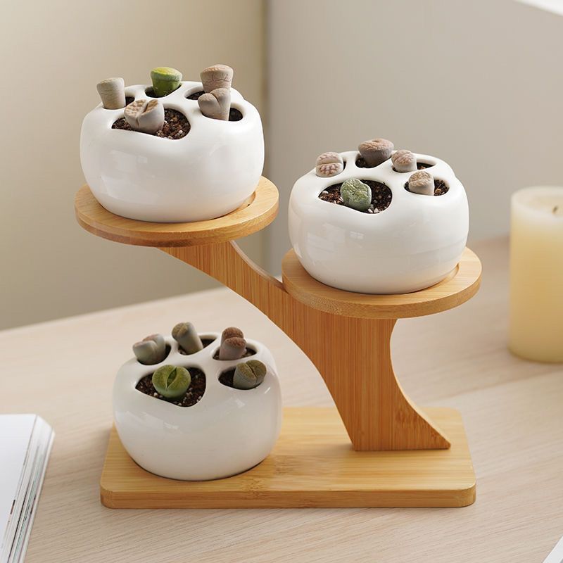 2025 Cross-Border Labeling Bamboo Multi-Layer Desktop Flower Stand Succulent Display Stand Office Living Room Removable