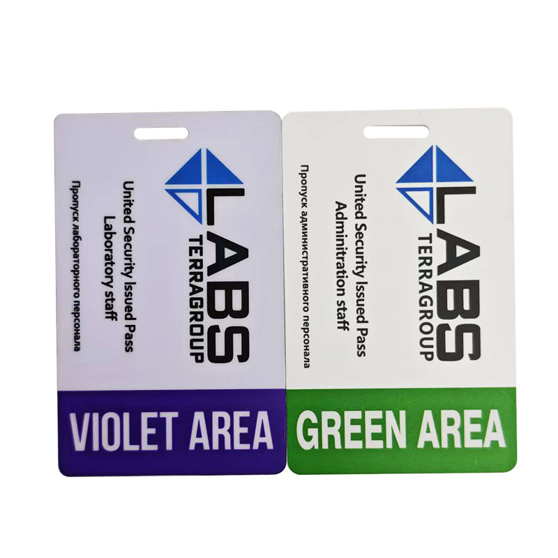 Manufacturer Customized High-Anti Magnetic Stripe Card Pvc Membership Shopping Points Card B&B Elevator Hotel Apartment Room Card