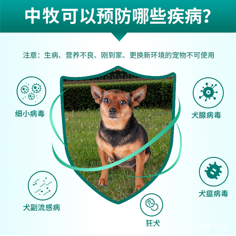 Chinese animal husbandry dog quadruple vaccine into puppies to prevent small canine distemper rabies pet enhanced seedling set needle