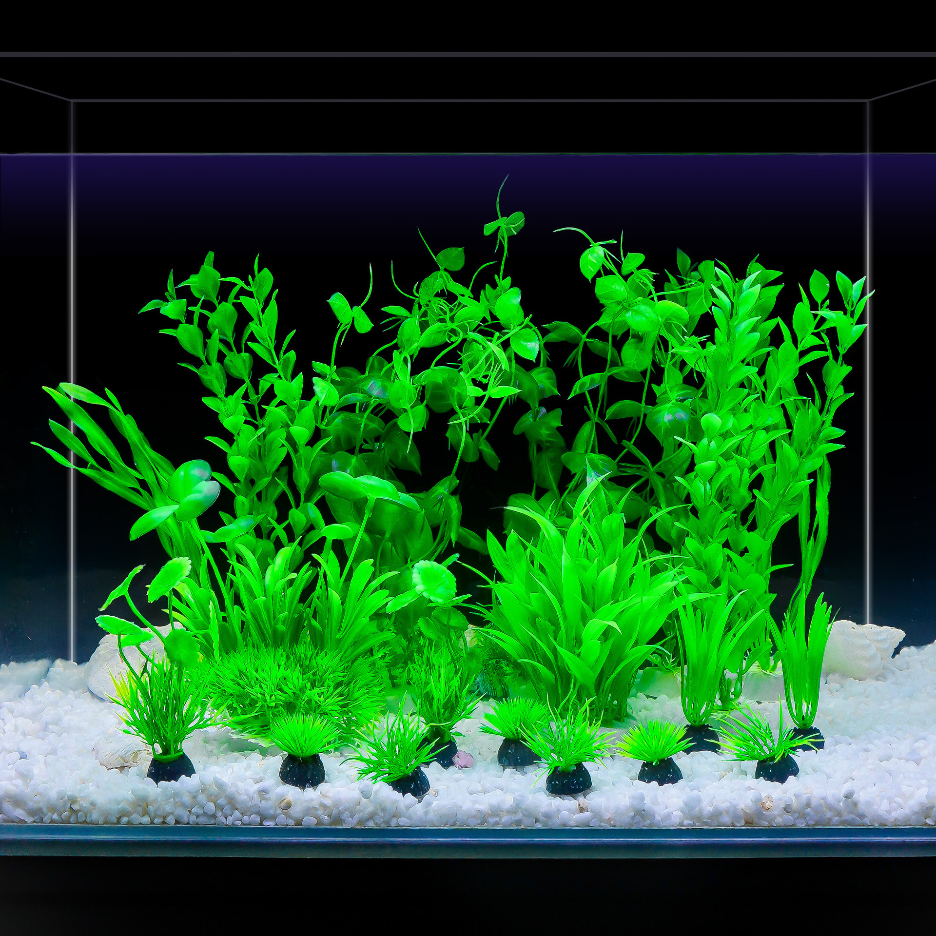 Fish Tank Landscaping, Simulated Water Plants, Seaweed Micro-Landscape Decoration, Plastic Grass, Fake Grass, Japanese Food Presentation, Fish Tank Ornaments, New Products