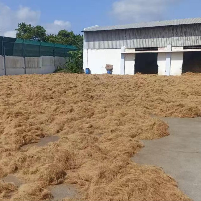 Industrial-Grade Coconut Fiber Woven Blanket, Erosion-Resistant Slope Protection Net, Minimum Order of 1 Ton, Exclusively for Cross-Border Export