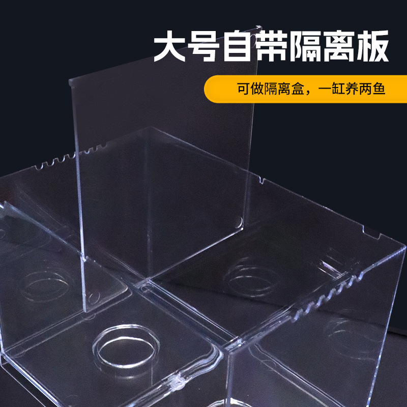 Double-Compartment Ornamental Fish Tank for Thai Bettas, Small Living Room Betta Fish Tank, Plastic High-Transparency Building Block Fish Tank