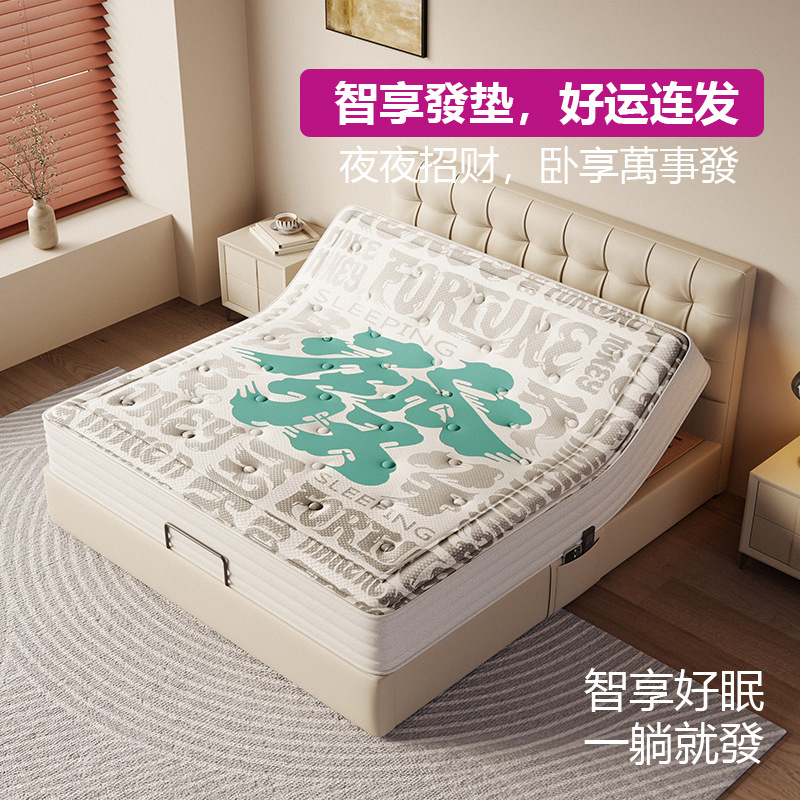 Lucky Smart Mattress Modern Casual 2025 New All-In-One Fully Automatic Rhythm Massage Electric Lifting Mattress