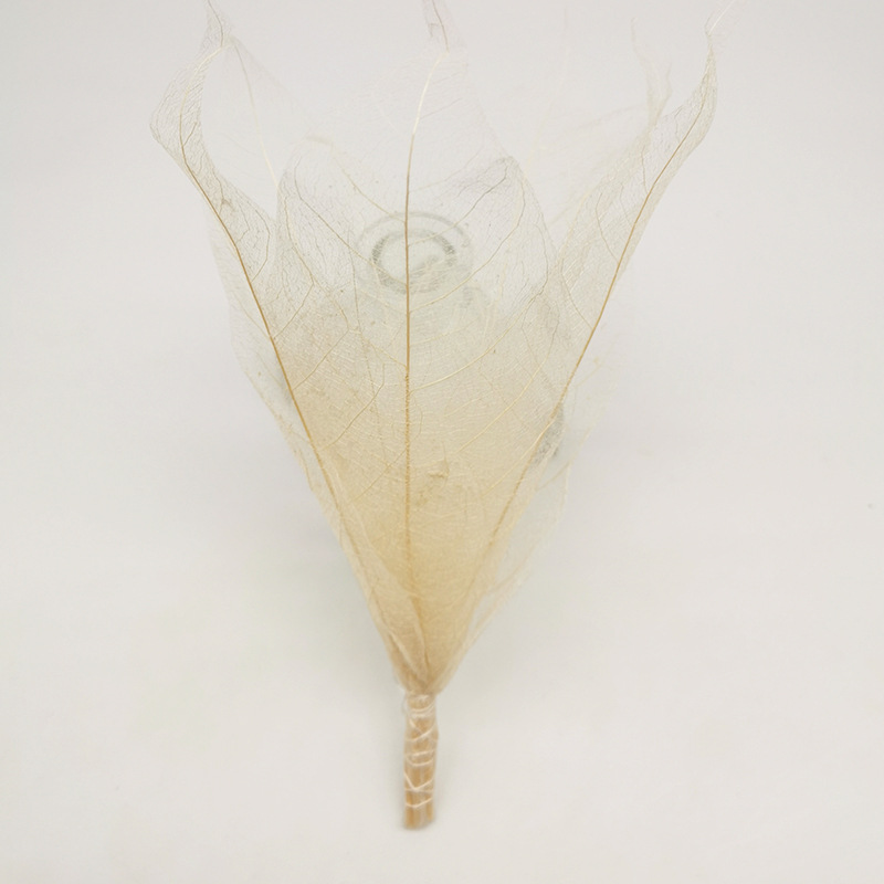 Direct Sale from the Manufacturer: Aromatherapy Leaf Vein Flower Diffuser Sticks, Dried Flower Fragrance Essential Oil Diffuser, Long-Lasting Scent, Deodorizer for Indoor Use