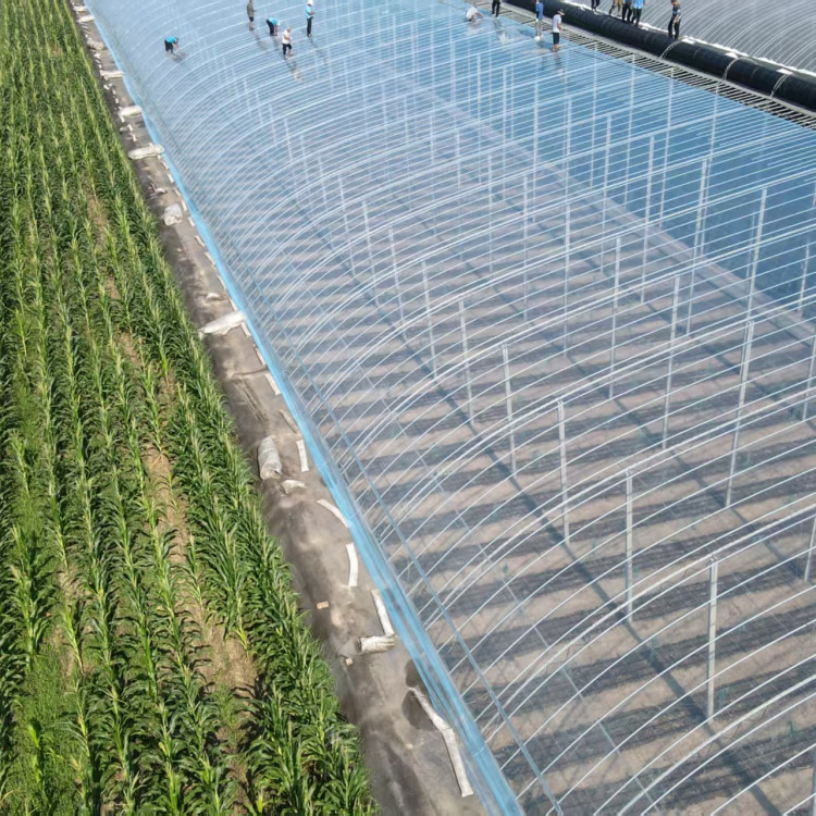 Long-Lasting Thickened Plastic Waterproof Film, Rainproof, Windproof, Cold-Proof Agricultural Film, Window Sealing Dustproof Film