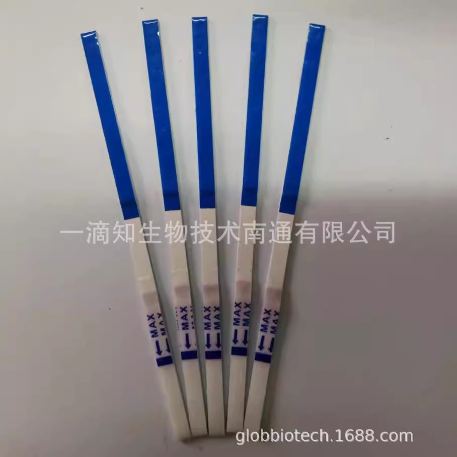 Factory direct early pregnancy test paper box precision female pregnancy test strip test card export packaging HCG TEST