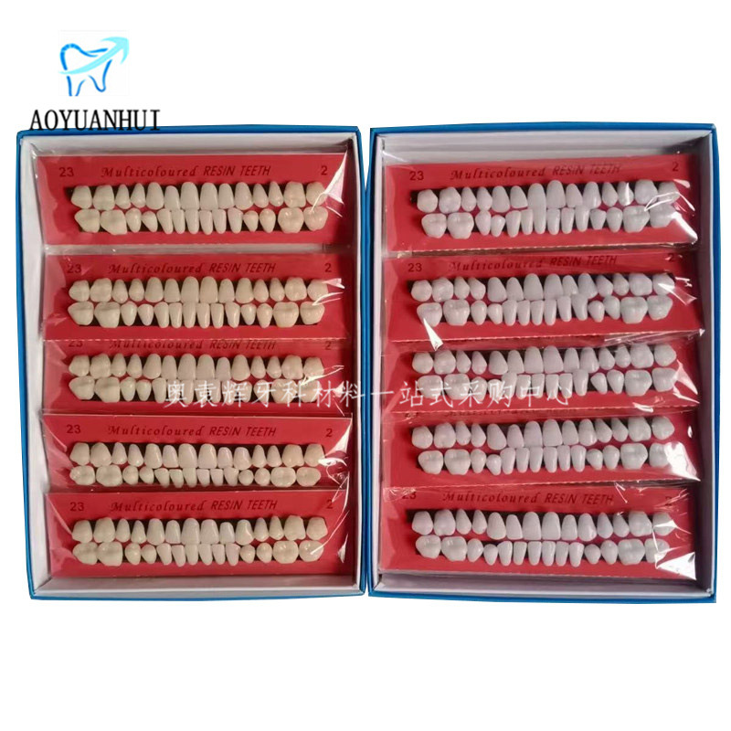 28 пластиковых учебных зубов, стоматологические материалы для обучения, форма с протезами