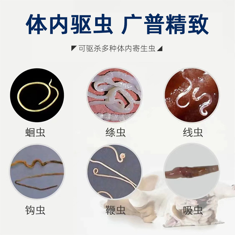 Aipetxing Internal Anthelmintic Drug for Kittens, Anthelmintic Drug for Dogs and Cats, Roundworms, Pet Kittens and Puppies, Fenbendazole Tablets