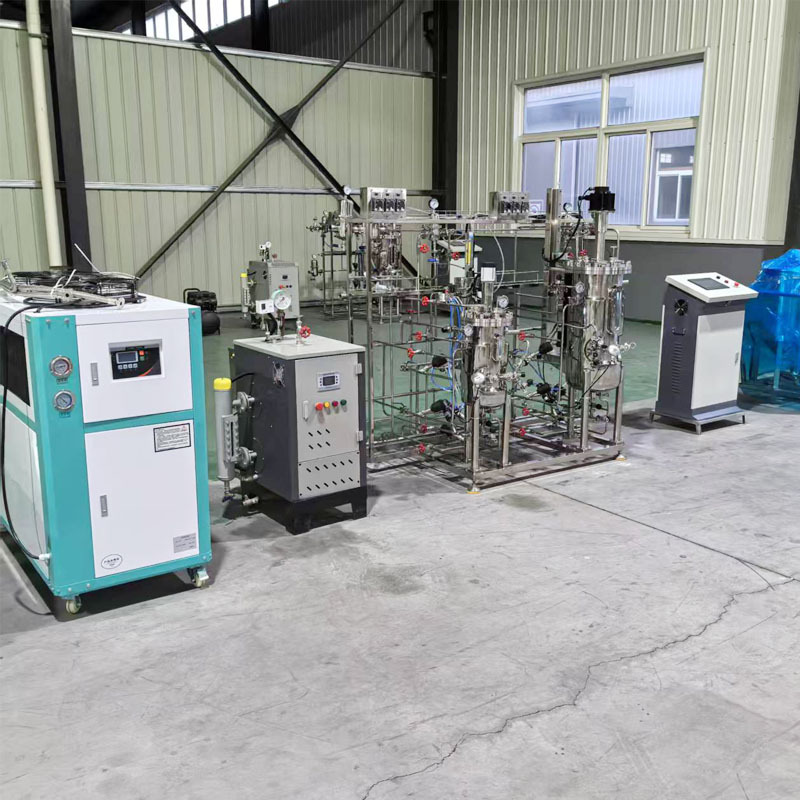 Small Seed Tank for Scientific Research 30L50L Laboratory Fermentation Tank Fully Automatic Fermentation Tank Quality Assurance