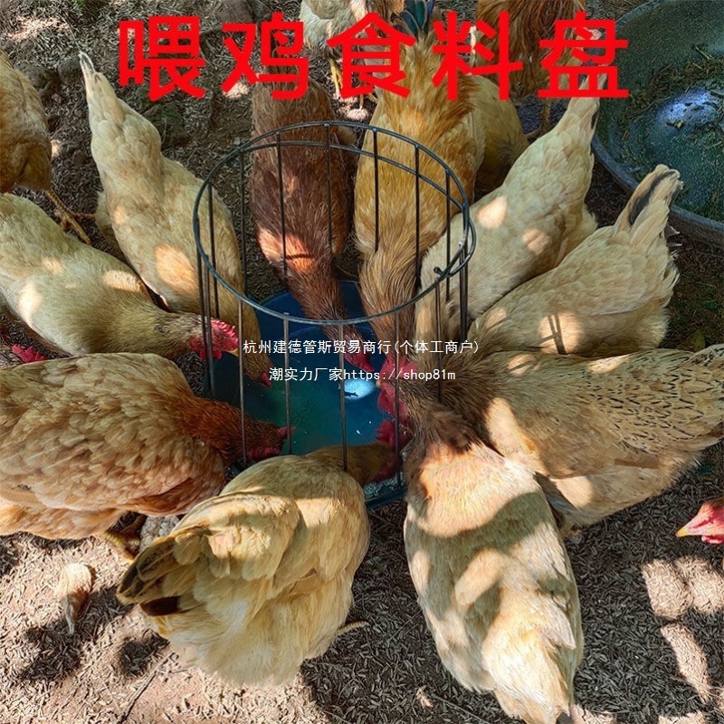 New Type of Feed Trough for Poultry, Chicken Farm, Chicken and Duck Feeding