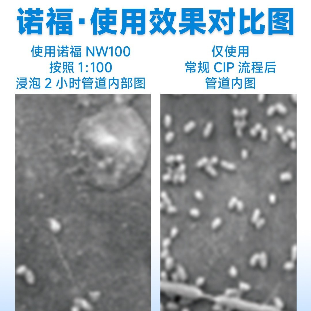 Purified Water Pipes Kill Green Water, Purify Water Quality, Remove Biofilms, Inhibit Bacteria, and Ensure That the Total Number of Water Bacteria Meets the Standard