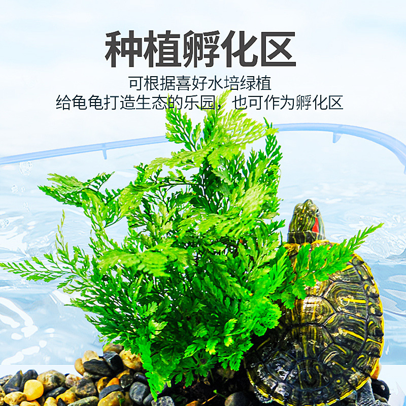 Tortoise Tank Feeding Tank with Basking Table Special Fish Tank Small and Medium-sized Plastic Tortoise Case Household Tortoise Tank with Cover