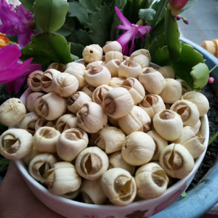 Aa Grade Fujian Jianning Lotus Seeds White Lotus Seeds 500g One Piece Wholesale Dry Goods