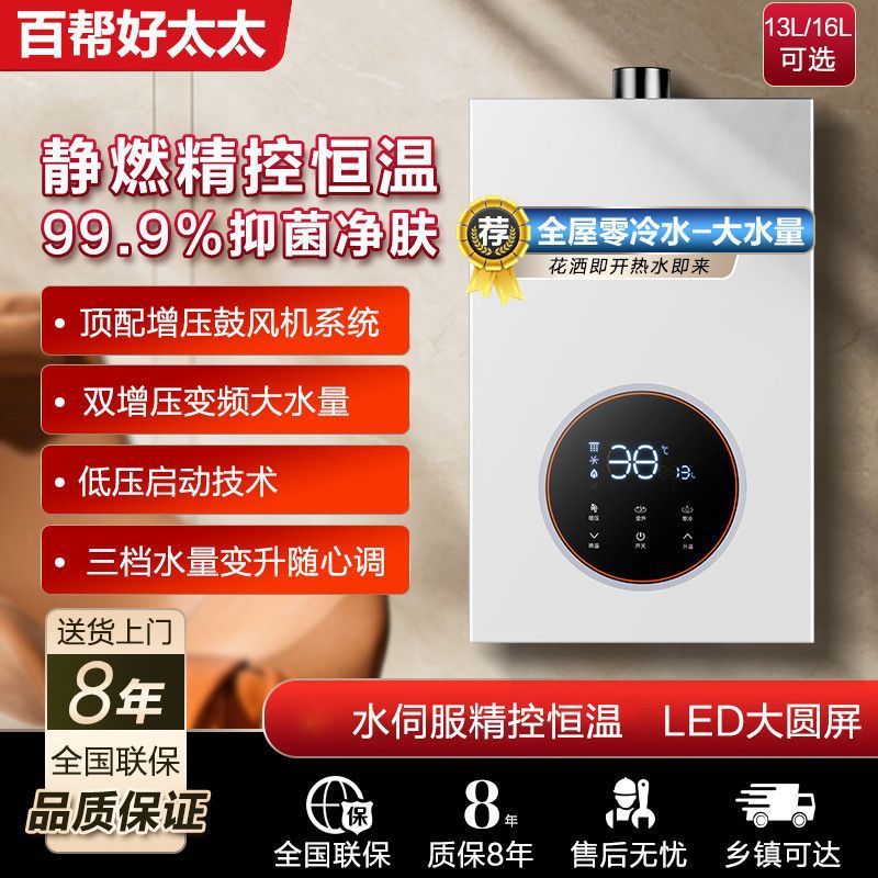 Gas Water Heater Variable Frequency Constant Temperature Supercharged Anti-Freeze Zero Cold Water Forced Exhaust Balanced Household [Manufacturer] Manufacturer