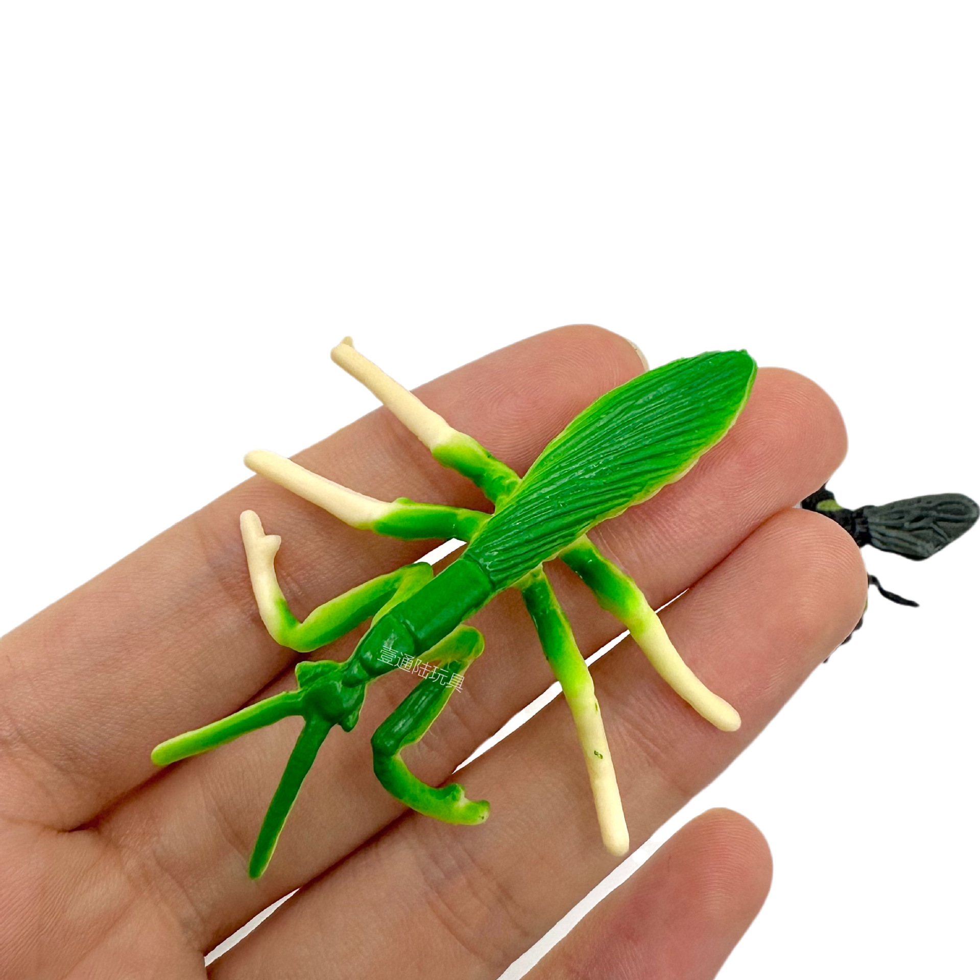 Foreign trade new simulation insect 12 PVC real insect model Scorpion spider butterfly sand table ornaments wholesale