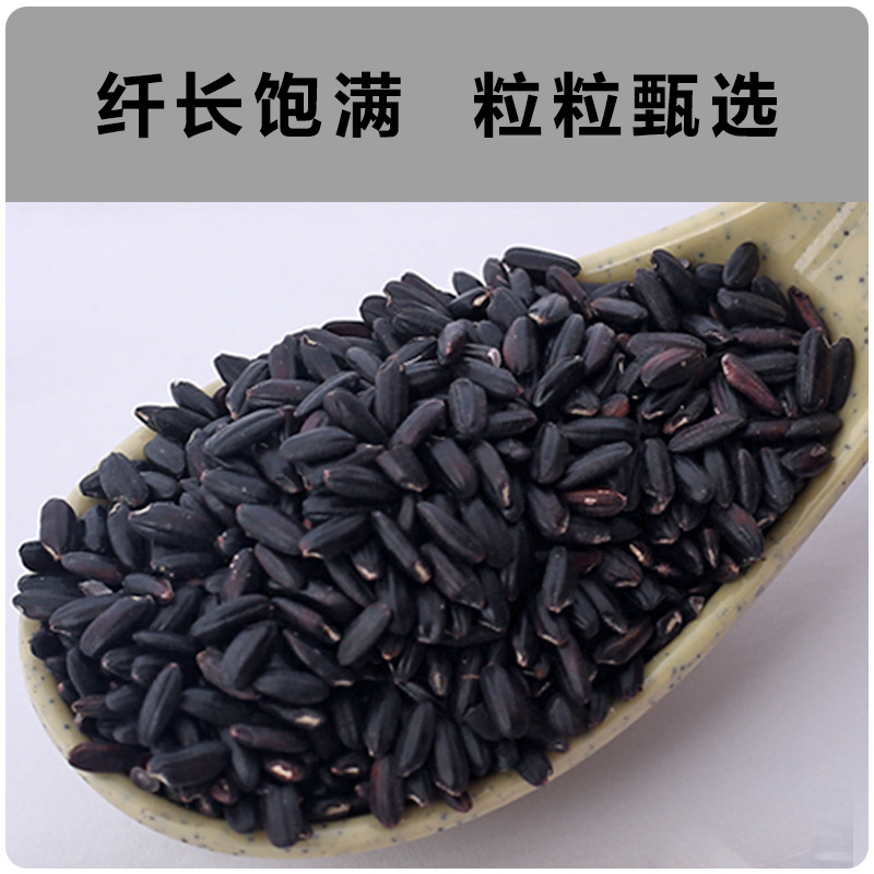 Northeast Black Rice New Rice Mixed Grains Authentic Seasonal Fragrant Rice for Porridge Whole Grains Brown Rice Non-Purple Sticky Rice Wholesale